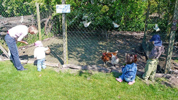 Aussenanlagen vom Ferien - Hof Anno 1856 auf Fehmarn